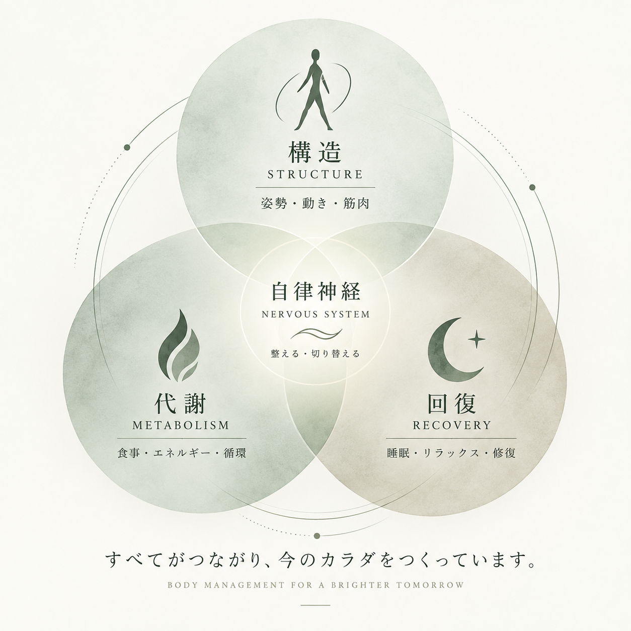 構造、代謝、回復と自律神経のつながりを表すアンドエイチのブランドビジュアル